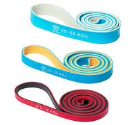 Eric Flag Bandas Resistencia con 3 Niveles - Bandas Elásticas en Látex Natural para Fitness, Entrenamiento en casa, Pilates, Musculación, Dominadas, Flexiones, Yoga - Hombres y Mujeres