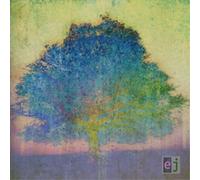 Eric Johnson EJ (CD) Album (Importación USA)