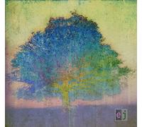 Eric Johnson EJ (CD) Album (Importación USA)