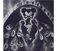 Erica Pomerance - You Used to Think