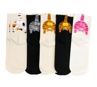 Ericetion Calcetines con Forma De Huevo De Gato, 5 Pares, con Bolas, para Hombre Y Mujer, Unisex, De Algodón, con Forma De Pata De Gato, Divertidos Y Casuales.