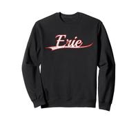 Erie Pennsylvania Great Lakes Vintage Varsity Distressed Sudadera