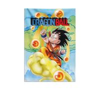 Erik Editores Banderola Decorativa Dragon Ball Goku