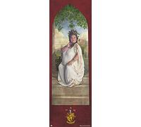 Erik Editores Poster Puerta Harry Potter Gryffindor Password