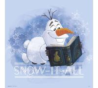 Erik Lámina Disney Frozen Snow It All 30x30cm