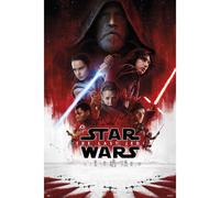 Erik Maxi Póster Star Wars VIII One Sheet 91.5x61cm