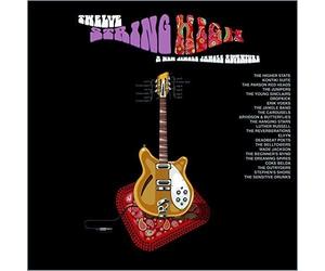Erik Voeks, The Jangle Band , The Parson Red Heads, Coke Belda, ... up to 23 bands - TWELVE STRING HIGH: A New Jingle Jangle Adventure [Vinilo]