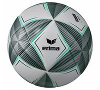 erima Adultos Unisex Copérnico Pro Balón de fútbol, Fern Green/Smaragd/Silver Grey, 5