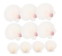 ERINGOGO 10 Piezas Conchas de Blancas Naturales Decoración DIY para Manualidades Hogar Boda Acuario