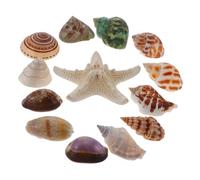 ERINGOGO 13 Piezas Conjunto Conchas Marinas Naturales Estrellas de Mar y Caracoles para Decoración de Peceras y Manualidades Náuticas para Adornos de Acuario y Arte Decorativo