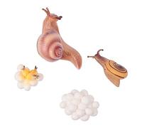 ERINGOGO 1juego Conjunto De Juguetes De Animales Simulados para Educación Temprana Modelos De Animales De Plástico Ecológico para Aprendizaje del Ciclo De Vida para Actividades