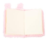 ERINGOGO Cuaderno de Escritura con Cubierta de Peluche Rosa Conejo Bloc de Notas Portátil para Adolescentes Diario Mini para Ideas y Planes Suave y Cómodo para Invierno