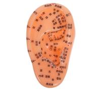 ERINGOGO Modelo de Acupuntura de Oreja para Aprendizaje Práctico y Enseñanza Clínica Marcas Claras de Puntos Reflejos