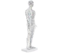 ERINGOGO Modelo de Acupuntura Masculino white 1 Unidad Modelo de Entrenamiento Cuerpo Humano Puntos de Presión Precisión para Enseñanza Medicina Tradicional y Masaje Profesional