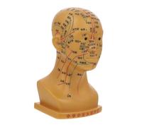 ERINGOGO Modelo de Cabeza de Acupuntura para Masaje Facial Puntos de Acupuntura para Enseñanza y Práctica Terapias de Cabeza