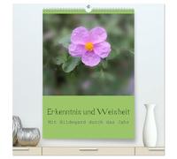 Erkenntnis und Weisheit - Hildegard von Bingen (hochwertiger Premium Wandkalender 2026 DIN A2 hoch), Kunstdruck in Hochglanz: Mit den Erkenntnissen ... Hildegard von Bingens durch das Jahr.