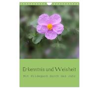 Erkenntnis und Weisheit - Hildegard von Bingen (Wandkalender 2026 DIN A4 hoch), CALVENDO Monatskalender: Mit den Erkenntnissen und der Weisheit Hildegard von Bingens durch das Jahr.