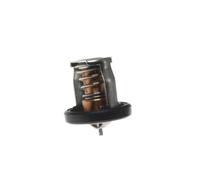 ERKKhdVJm Termostato 60 Grados Compatible con Motores Fuera De Borda Marinos DF8A 9.9 15 20 25 30A Repuesto para 17670-94J01 17670-94J00 17670-94J02-000 17670-94J01-000