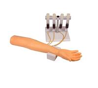 Erler Zimmer - Brazo de entrenamiento para inyección intravenosa u perfusión adecuada para formación en grupo