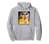 Erm,What the Sigma Cat Meme Gracioso, Divertido Sarcástico Sudadera con Capucha