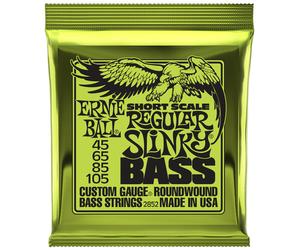 Ernie Ball 2852 Regular Slinky Short