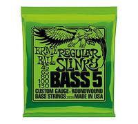 ERNIE BALL - 2836 - REGULAR SLINKY BASS 5 45-130 - Electric Bass Strings - Set of 5