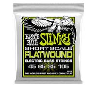 Ernie Ball Flatwound 2818