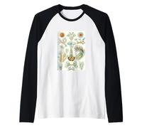 Ernst Haeckel Aquatic Life - Arte Vintage de biología Marina Camiseta Manga Raglan