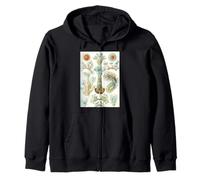 Ernst Haeckel Aquatic Life - Arte Vintage de biología Marina Sudadera con Capucha