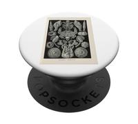 Ernst Haeckel cangrejos ilustración PopSockets PopGrip Adhesivo