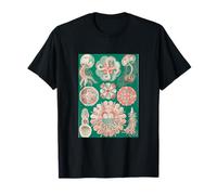 Ernst Haeckel Jellyfish Art - Medusa Biología Marina Vintage Camiseta