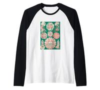 Ernst Haeckel Jellyfish Art - Medusa Biología Marina Vintage Camiseta Manga Raglan
