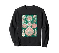 Ernst Haeckel Jellyfish Art - Medusa Biología Marina Vintage Sudadera