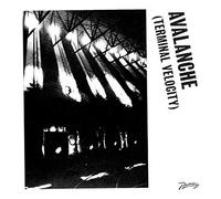 Erol Alkan & Boys Noize - Avalanche (Terminal Velocity) [Vinilo]