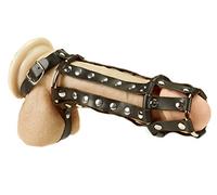 Rimba – Erotic Fashion - Sexo y sensualidad