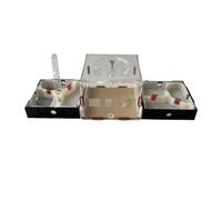 Errario De Hormigas Castillo De Hormigas Hábitat Conjunto Aprendizaje para Divulgación Científica Granja Estudio del Comportamiento Las Hormiguero Anthouse