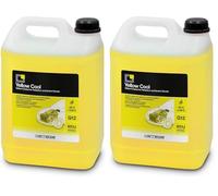 ERRECOM Yellow Cool, Líquido para Radiador Amarillo Fluorescente -20°C, anticongelante G12 con Paquete inhibidor de Base orgánica Oat, Listo para Usar, 5 litros (Paquete de 2)