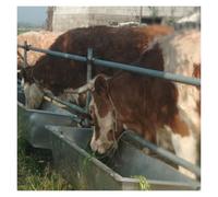 ERRULAN mangeoires pour porcs Comedero para Ganado ovino, comedero para Ganado de Acero Inoxidable para Exteriores, comederos de heno para Animales para Ganado, ovejas(200x30x18cm(78.7x11.8x7in))