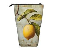 ERSDWRE Estuche telescópico para lápices, diseño de frutas de limón, bolsa de papelería Kawaii, con cremallera, soporte para lápices