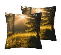 ERSDWRE Funda de almohada con estampado de luz del sol en el desierto de la mañana para sofá, cama