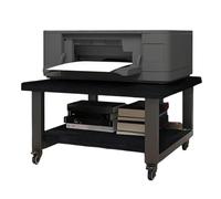 ERSINIAN Soporte de Impresora Compacto con Ruedas bloqueables de 19,7'' x 19,7'' Carro rodante de 2 Niveles Colocar impresoras y fotocopiadoras Debajo del Escritorio