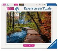 Erwachsenenpuzzle 1000 Teile - Herbstlicher Waldweg: Beautiful (Importación USA)