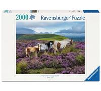 Erwachsenenpuzzle 2000 Teile - Wildpferde in der Heide