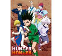 Erwachsenenpuzzle 500 Teile - Hunter x Hunter