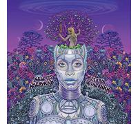 Erykah Badu - New Amerykah, Part II: Return of the Ankh
