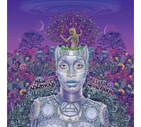 Erykah Badu - New Amerykah Part Two