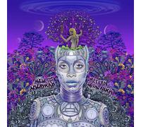 Erykah Badu New Amerykah Part Two: Return of the Ankh (Vinyl) (Importación USA)