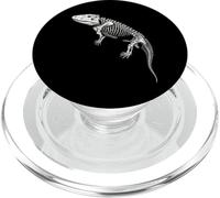 Eryops Paleontología fósil Especies de Anfibios pérmicos PopSockets PopGrip para MagSafe