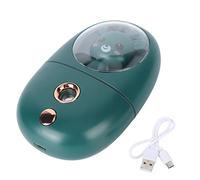 ERYUE Mini Humidificador Facial Recargable Lindo de la Cara del Rociador USB de la Niebla para Viajar 35ml 500mah (Verde)