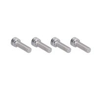 ERYUE Perno Hexagonal/tornillo con Cabeza Hexagonal de Sujeción, Sujetador de Rosca Fina Acero Inoxidable A2 para Automoción, 4 Uds. (M10*30)